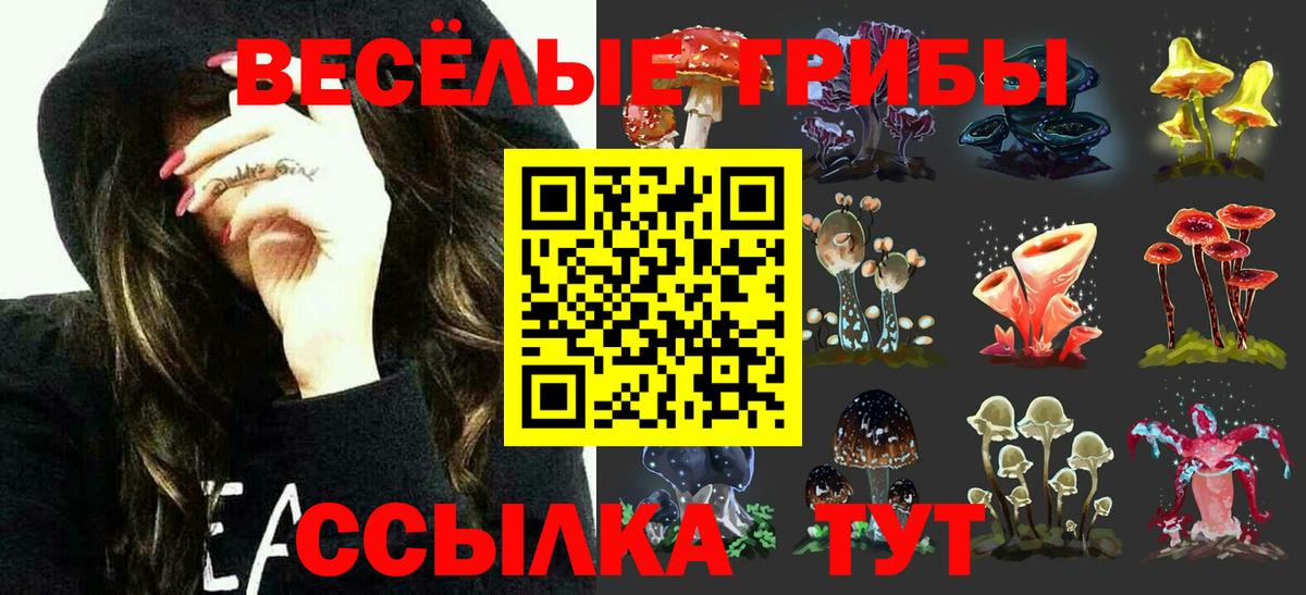 Галлюциногенные грибы MAGIC MUSHROOMS Дюртюли